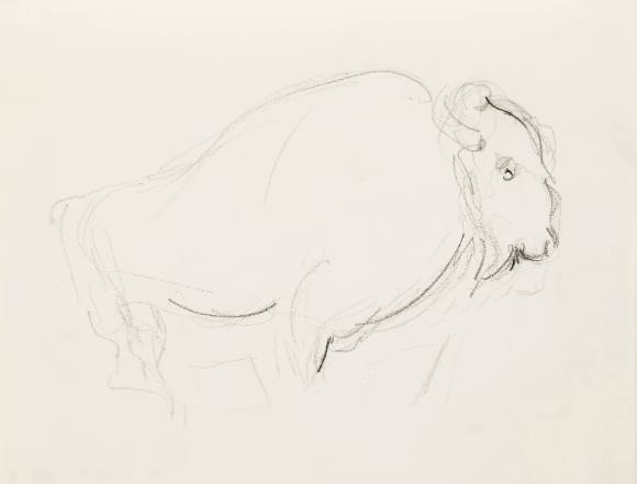 Buffalo