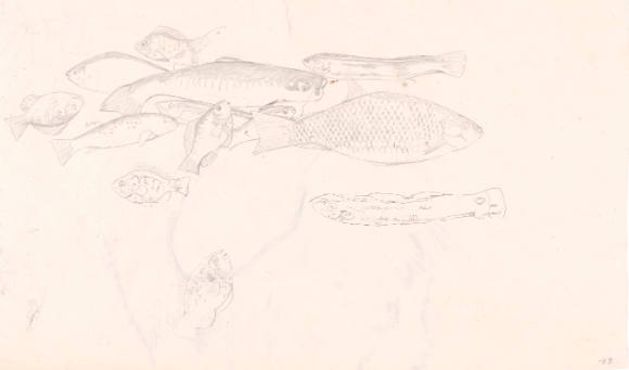 Study for "The Draught of Fishes"