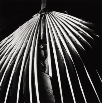 Feather Fan, Arkansas