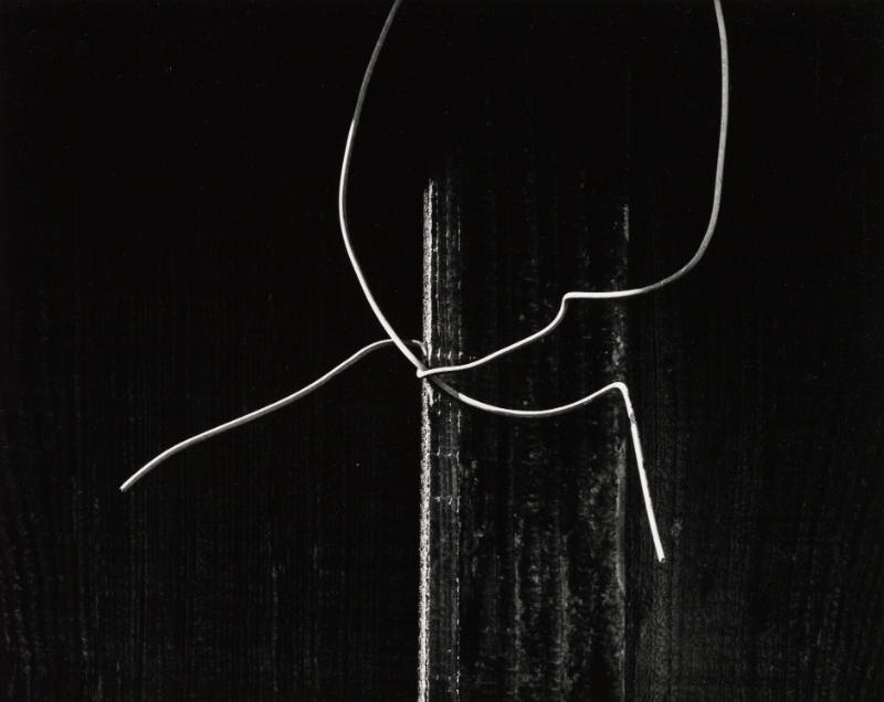 Hanging Wire, Arkansas