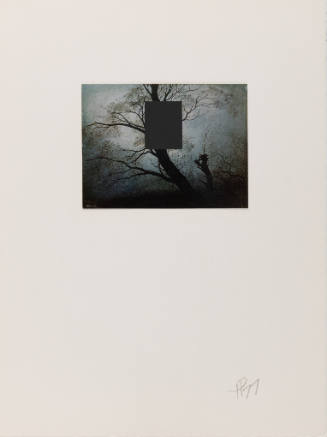 Caspar David Friedrich "Baume in der Abenddammerung" (Wallraf-Richartz-Museum)